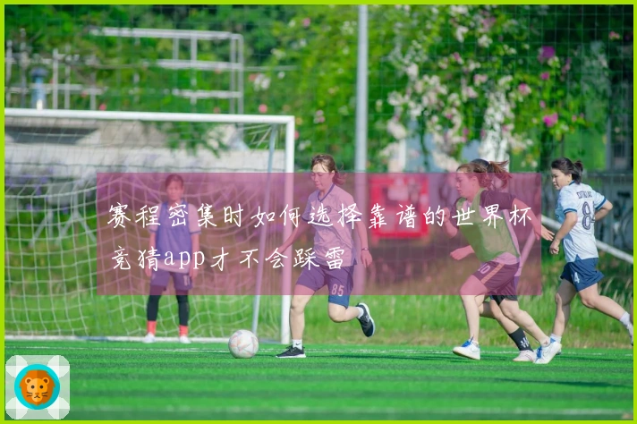 赛程密集时如何选择靠谱的世界杯竞猜app才不会踩雷