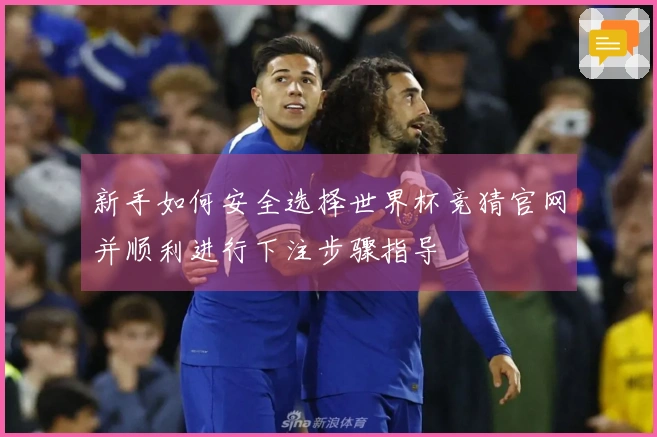 新手如何安全选择世界杯竞猜官网并顺利进行下注步骤指导