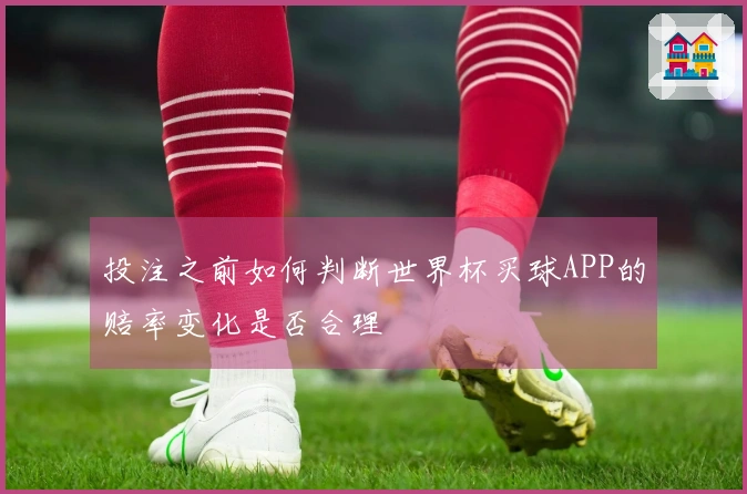 投注之前如何判断世界杯买球APP的赔率变化是否合理