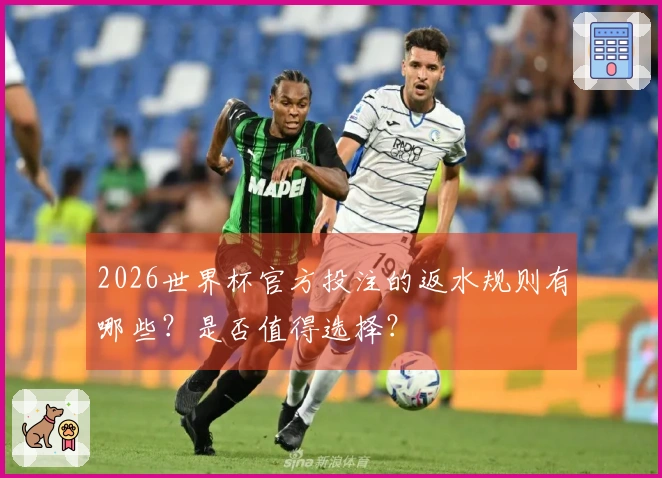 2026世界杯官方投注的返水规则有哪些？是否值得选择？