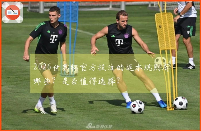 2026世界杯官方投注的返水规则有哪些?是否值得选择?