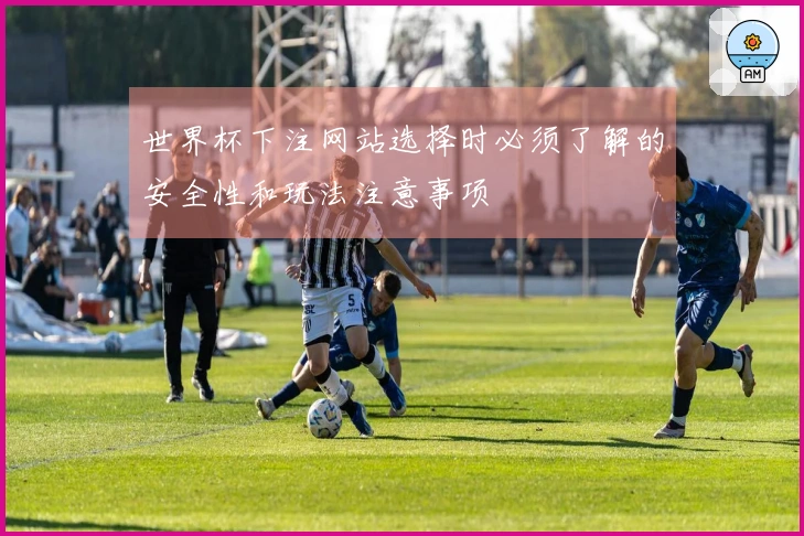 世界杯下注网站选择时必须了解的安全性和玩法注意事项